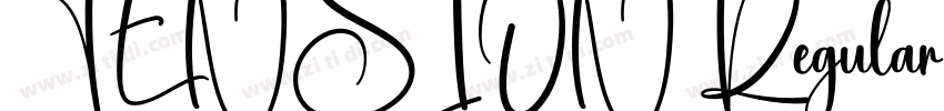 TENSION Regular字体转换